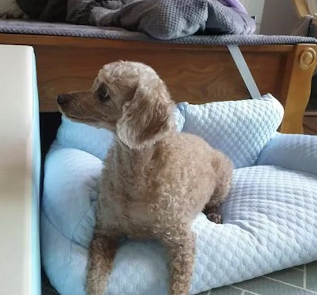 Foto de Pablo