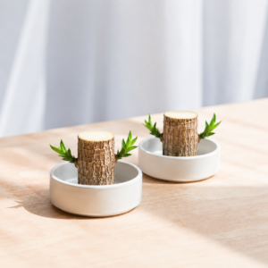 LuckyTree: Planta de madeira brasileira da sorte